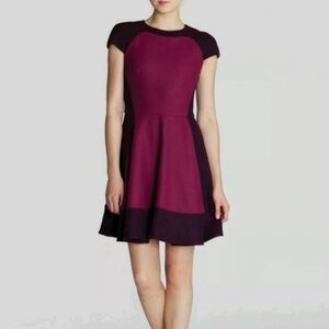 New with Tags Ted Baker Dress